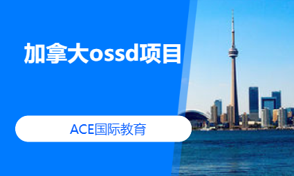 加拿大ossd项目